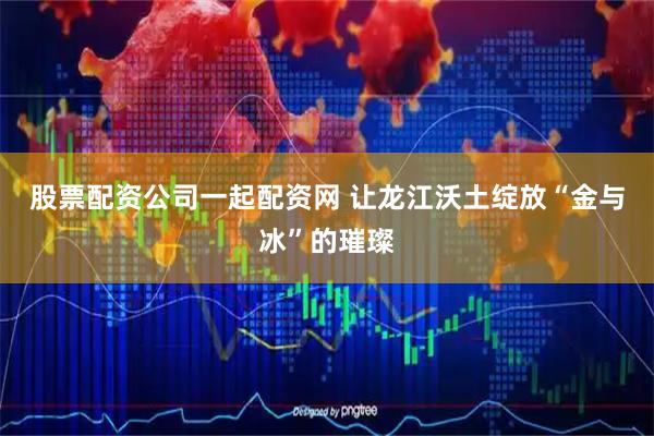股票配资公司一起配资网 让龙江沃土绽放“金与冰”的璀璨