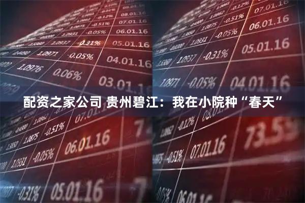 配资之家公司 贵州碧江：我在小院种“春天”